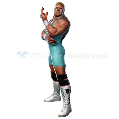 WWE Iron-on Stickers (Heat Transfers)NO.3986